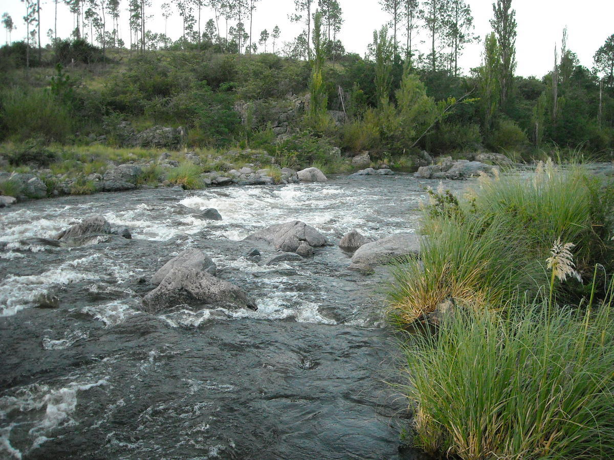 Cabanas Ecos Del Rio Los Reartes Oda fotoğraf